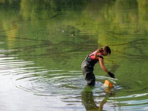 Toxic cyanobacteria detection in fresh water reservoirs